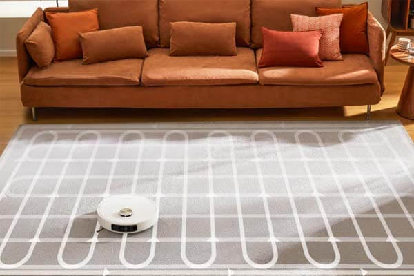 Limpieza exhaustiva de alfombras